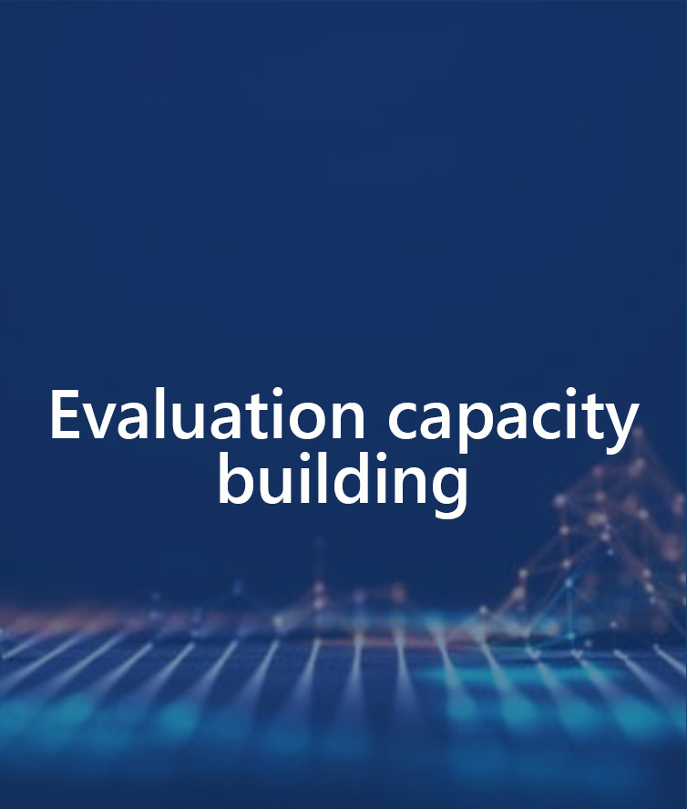 services temp Evaluation capacity building small 1.jpg