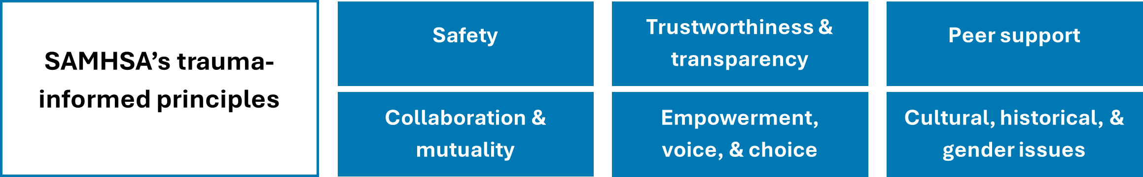 SAMHSA TI principles.png