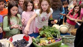 FarmToSchool_300x170.jpg